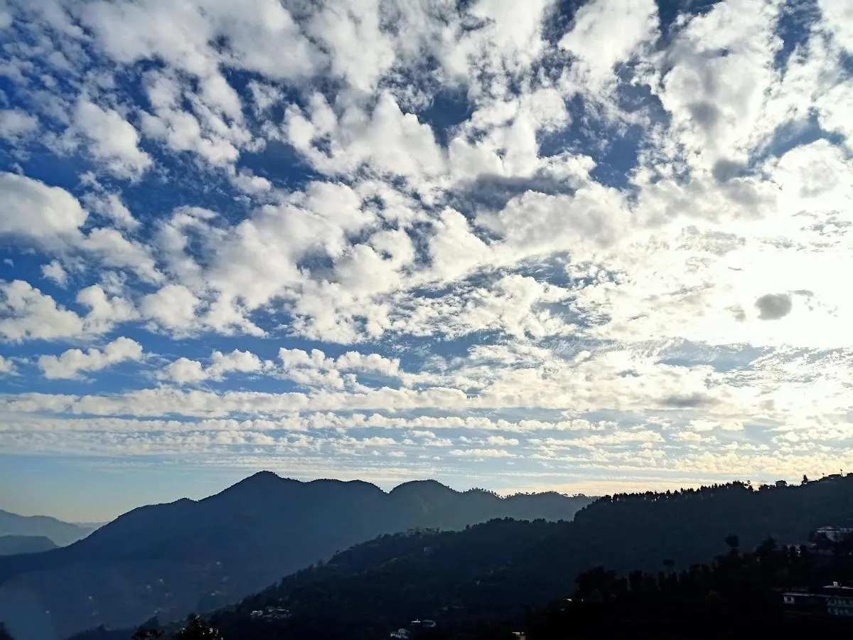 Bed & Breakfast Aranyavilas Shimla